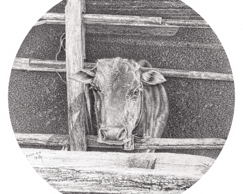 蔡汉平 期待 针管笔画 25cm×25cm 2020 年